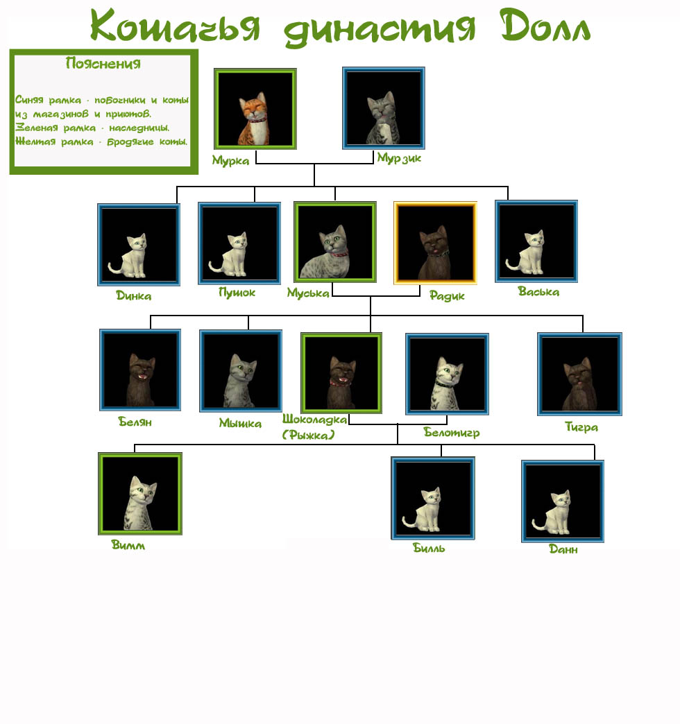 Кошки династия.jpg