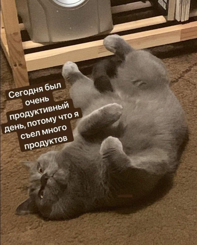 sBDpdqvyPiM.jpg