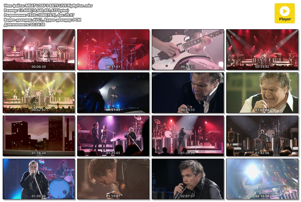 MЕАT LOАF 3 BАТS LIVE RipByFox .mkv.png