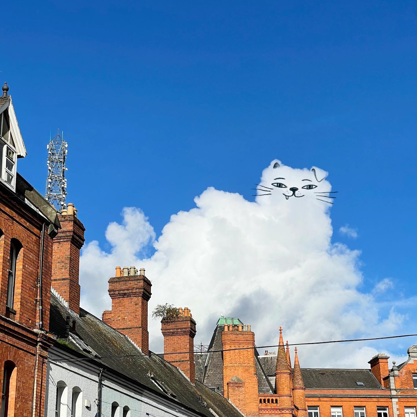 В неведоме. 1667 Года в Дублине, Ирландия. Kitten cloudy.