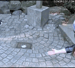 d4f2347c0b4b0a292943287076a2b52f.gif