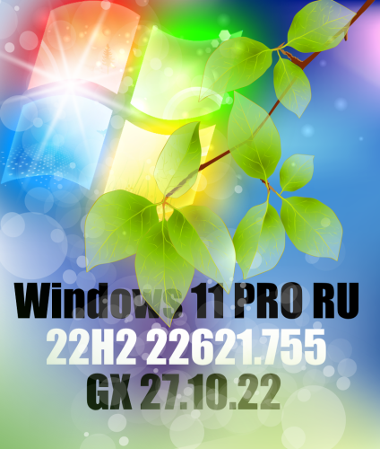 Windows 11 PRO 22H2