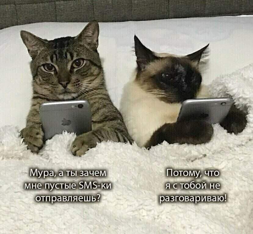 ph0ZMahdf48w.jpg
