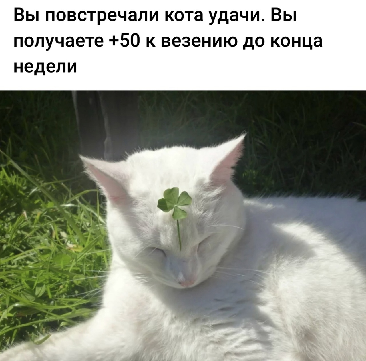 ZJhgyTi1g.jpg
