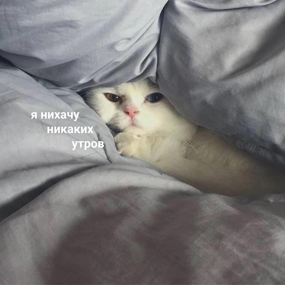 001--.jpg
