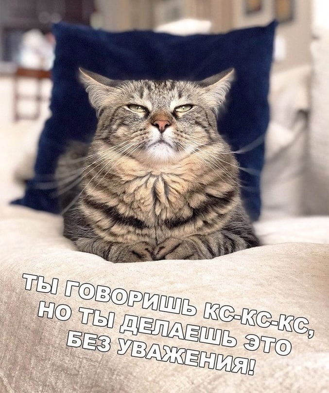 13VFbY.jpg