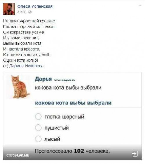1456245285_www.mblshkoblud.ru_7239404.jpg