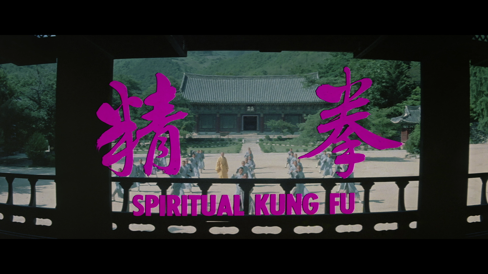 Spiritual.Kung.Fu.1978.88Films.Remastered.BDRemux.1080p[(001543)10-55-28].PNG