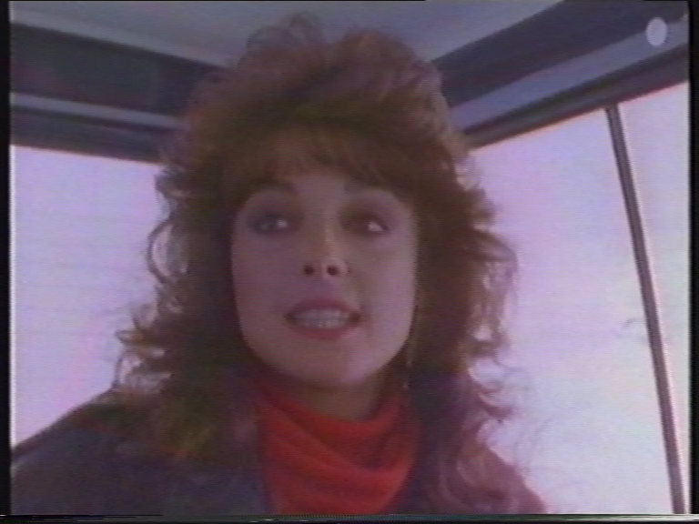 Iced (1988) VHSRip, MVO Варус Видео.mpg_snapshot_00.16.50.019.png