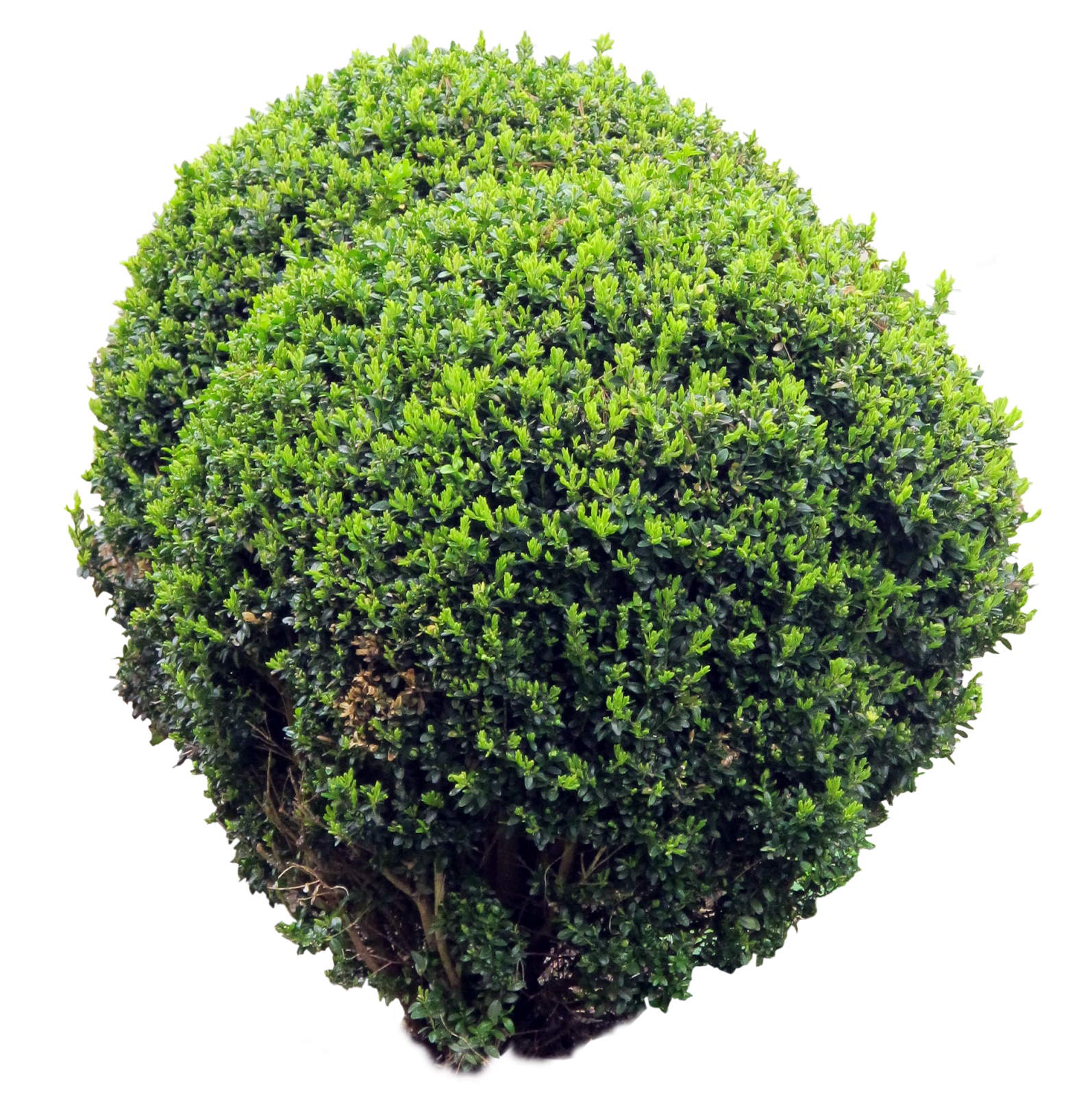 7.png