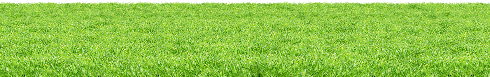 footer_grass_2.png