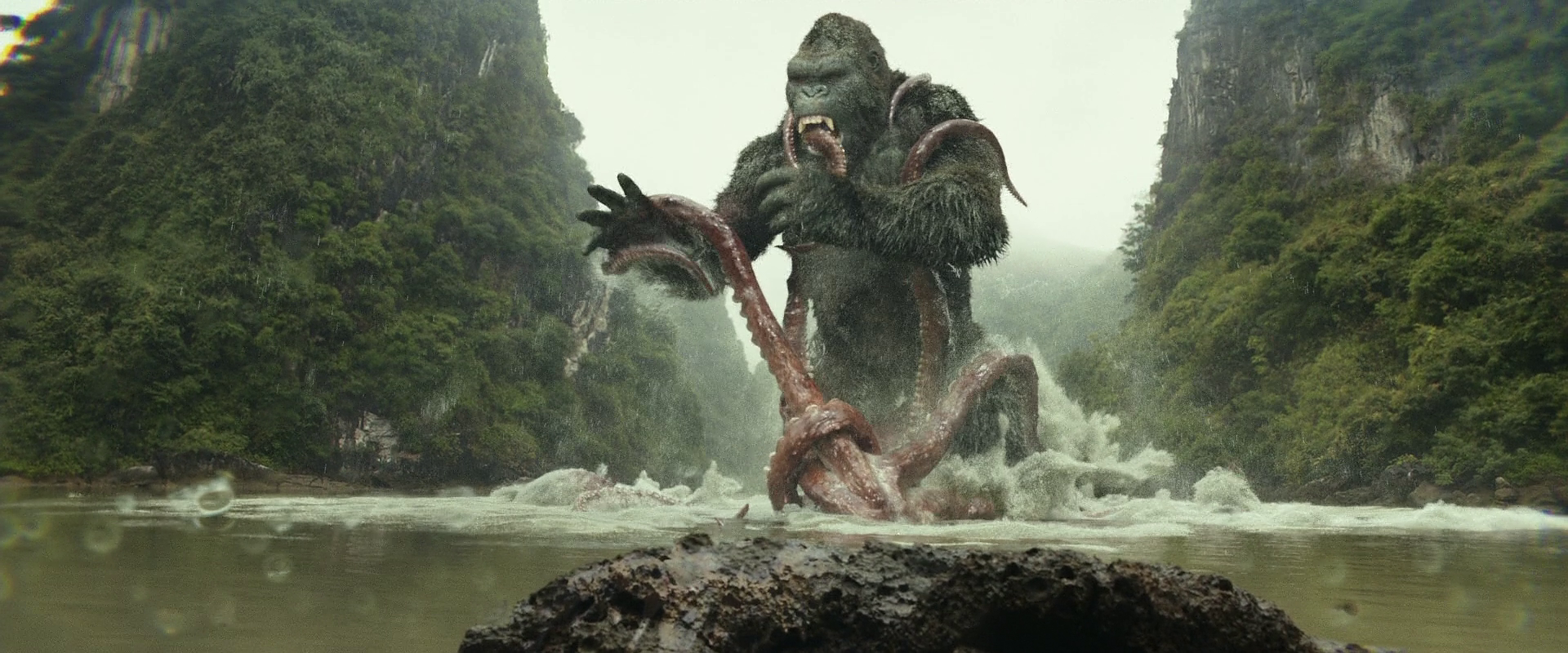 King kong qarshi uzbek tilida. Конг остров черепа узбек тилида. Конг остров черепа узбек. Kong vs giant Squid - Fight Scene - Kong: Skull Island (2017).