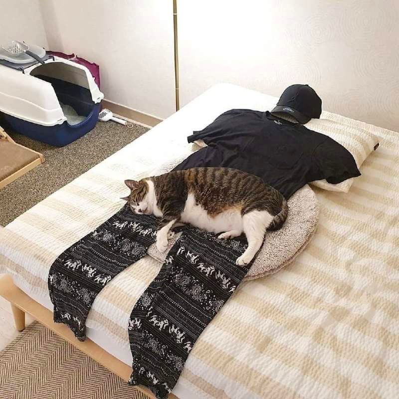 OUtDflsmz7w.jpg