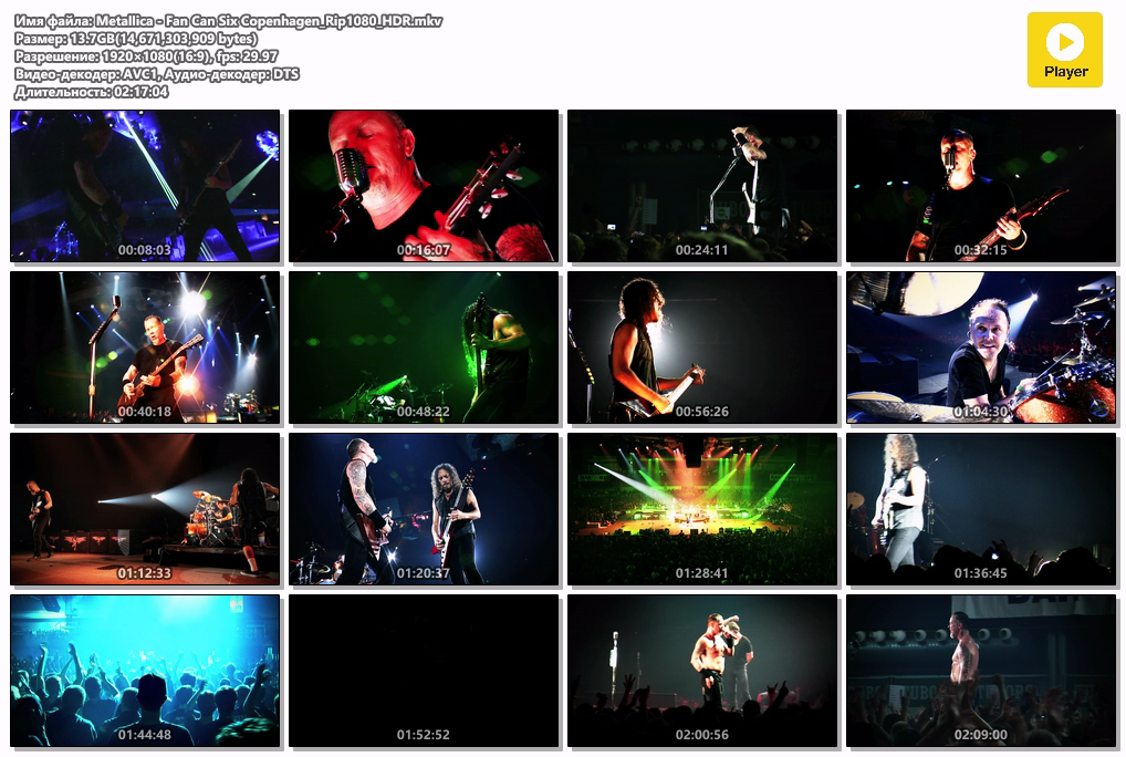 Metallica - Fan Can Six Copenhagen_Rip1080_HDR.mkv.png