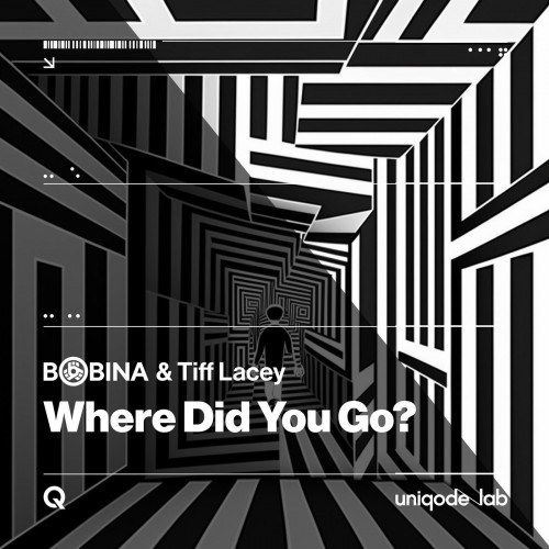 Bobina & Tiff Lacey - Where Did You Go_ (Chill Night Mix).mp3