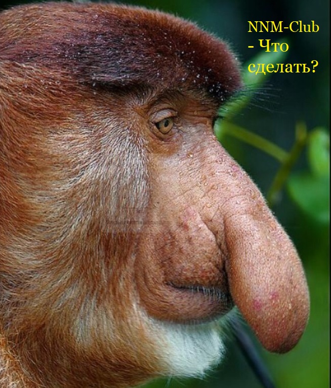 Что сделать (nnmclub.to).jpg