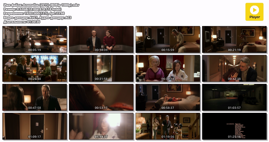 Anomalisa (2015) (BDRip 1080p).mkv.png