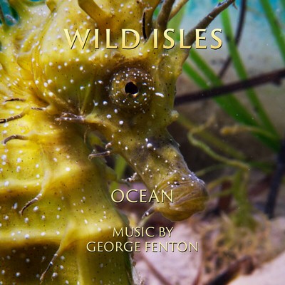 Wild Isles: Ocean Soundtrack