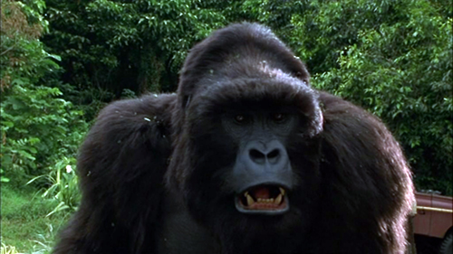 53916527e985b655a9450068f6e767f0 - Mi gran amigo Joe [1998] [DVDRemux - PAL] [Castellano - Checo - Inglés - Francés - italiano - Húngaro] [Cine familiar] [MEGA] 6.98 GB