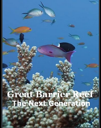 Большой Барьерный риф. Следующее поколение / Great Barrier Reef: The Next Generation (2021) SATRip-AVC