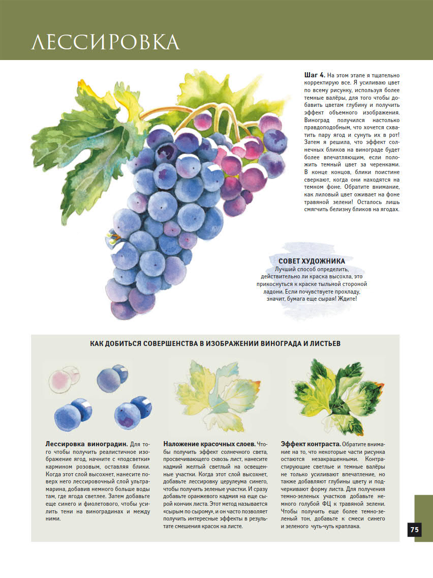 Учимся рисовать акварелью (Walter Foster Creative Team) (Z-Library)_76.jpg