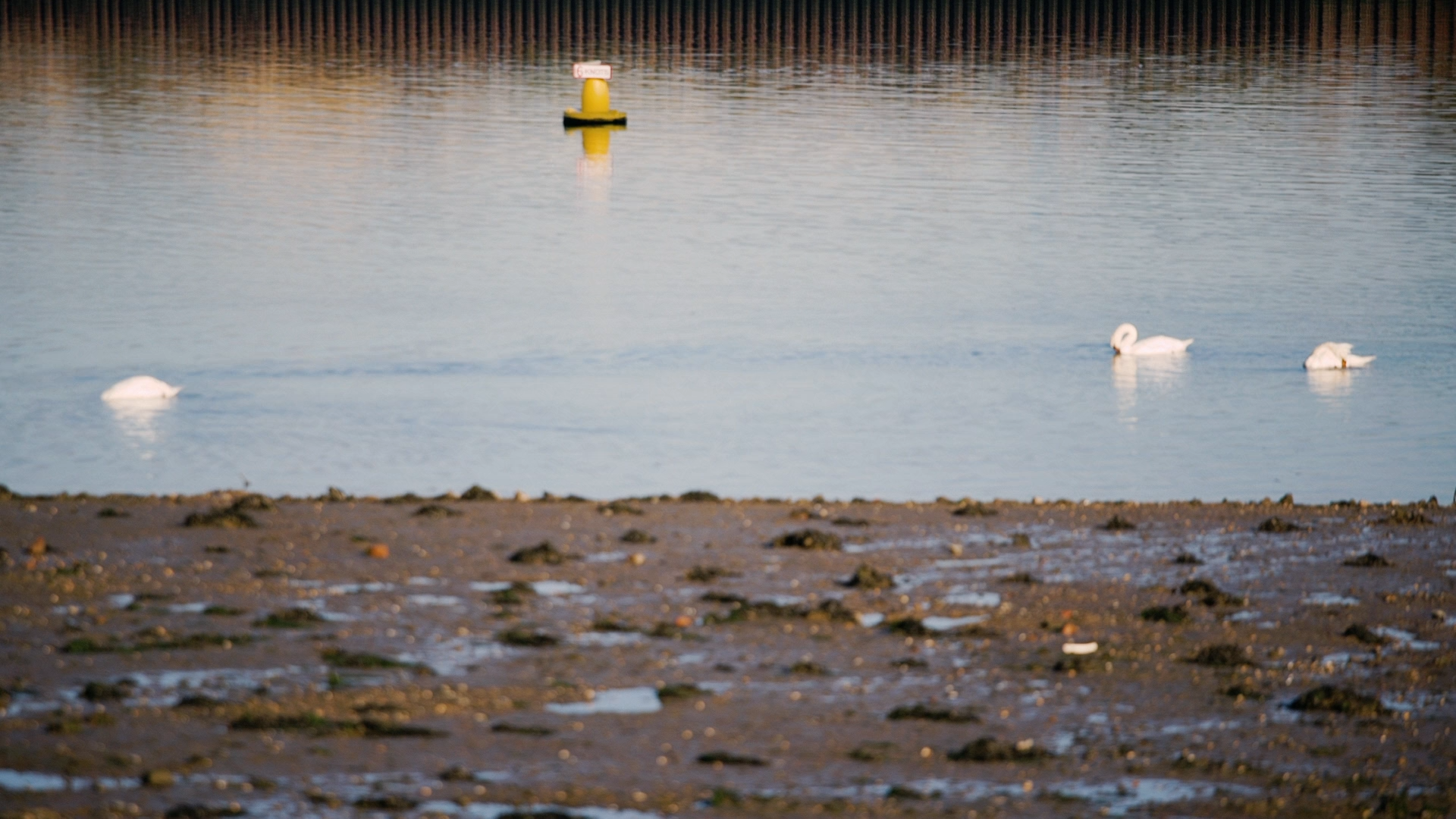 Murder In The Red Light 1x01 1080p (Omskbird).mkv_snapshot_40.42.000.png