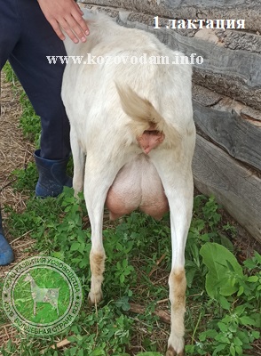Игрушка Весны 3 Rabelle.jpg