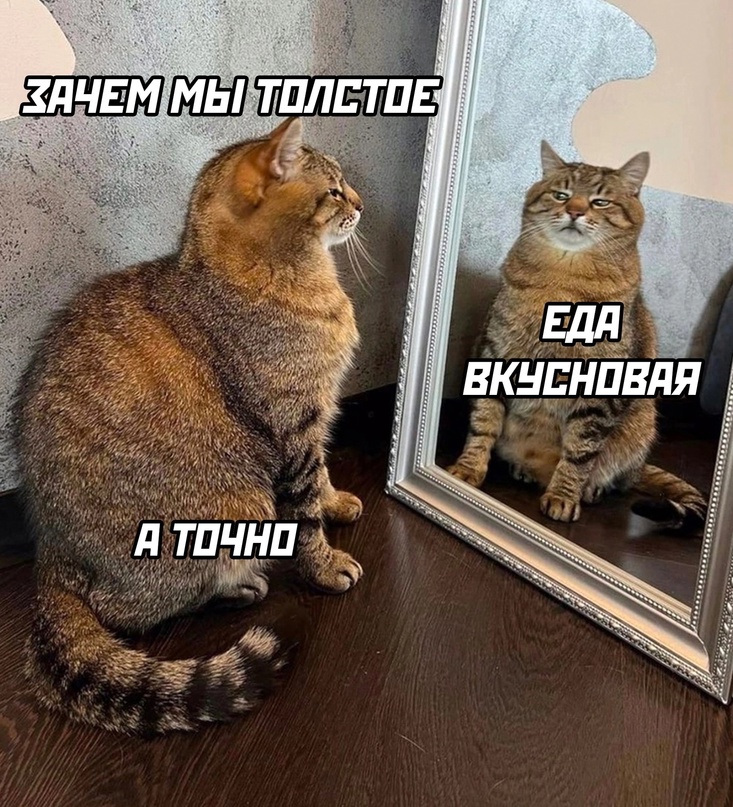 ZnmnbyB0-38.jpg