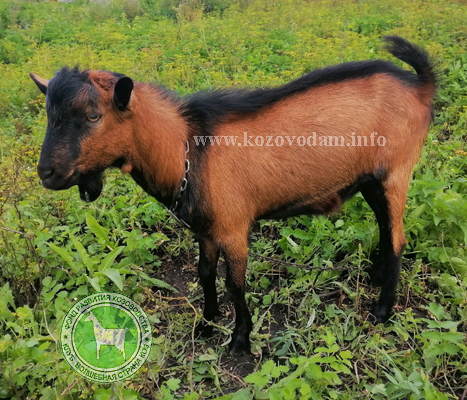 Джастин 1 Екатеринаъ.jpg