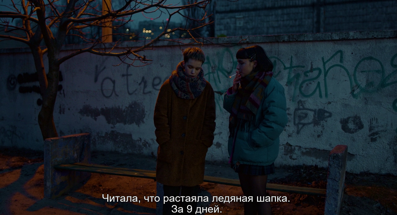 vlcsnap-2023-12-12-13h34m56s994.png