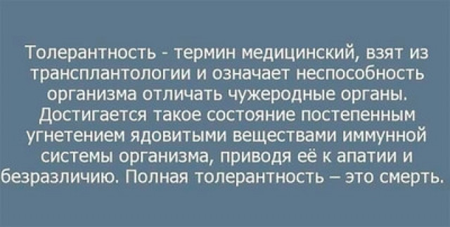изображение_2023-12-21_171915325.png