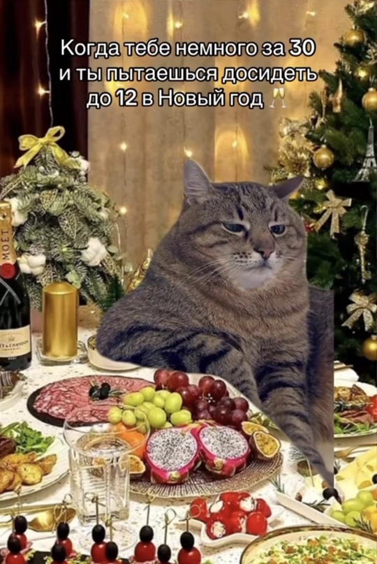 vQZa3YNnPjo.jpg