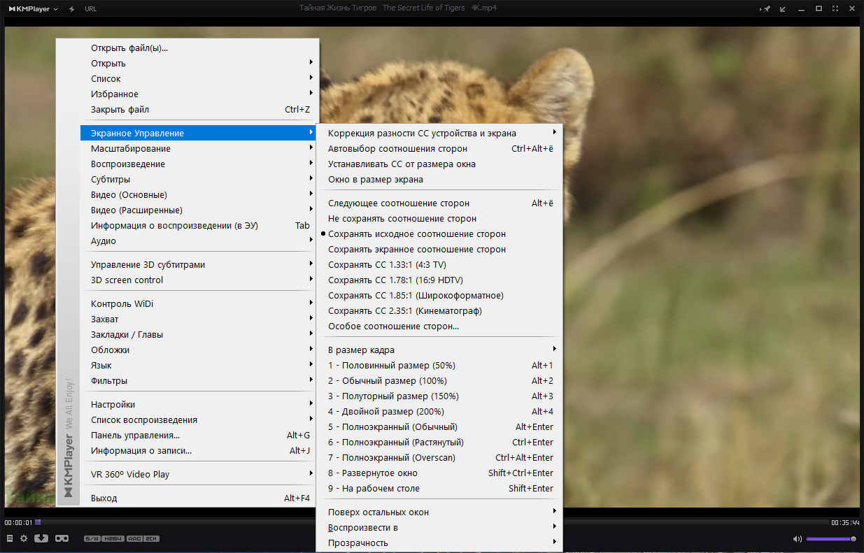 Screen-Shot-20240115183351.png