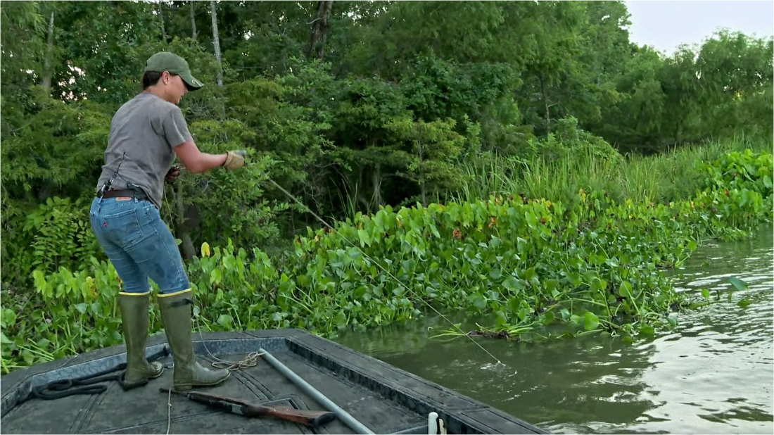 Swamp People S15E03 [1080p] (x265) 18833a138a076cb9da225a7b927a8e1c