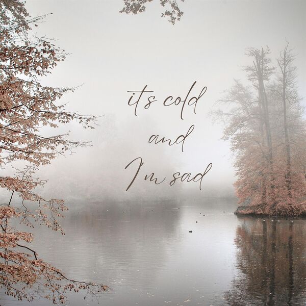 Various Artists- It S Cold And I M Sad 2024 Mp3 [320kbps] 0709c322cd303b7b732eb483446e6980