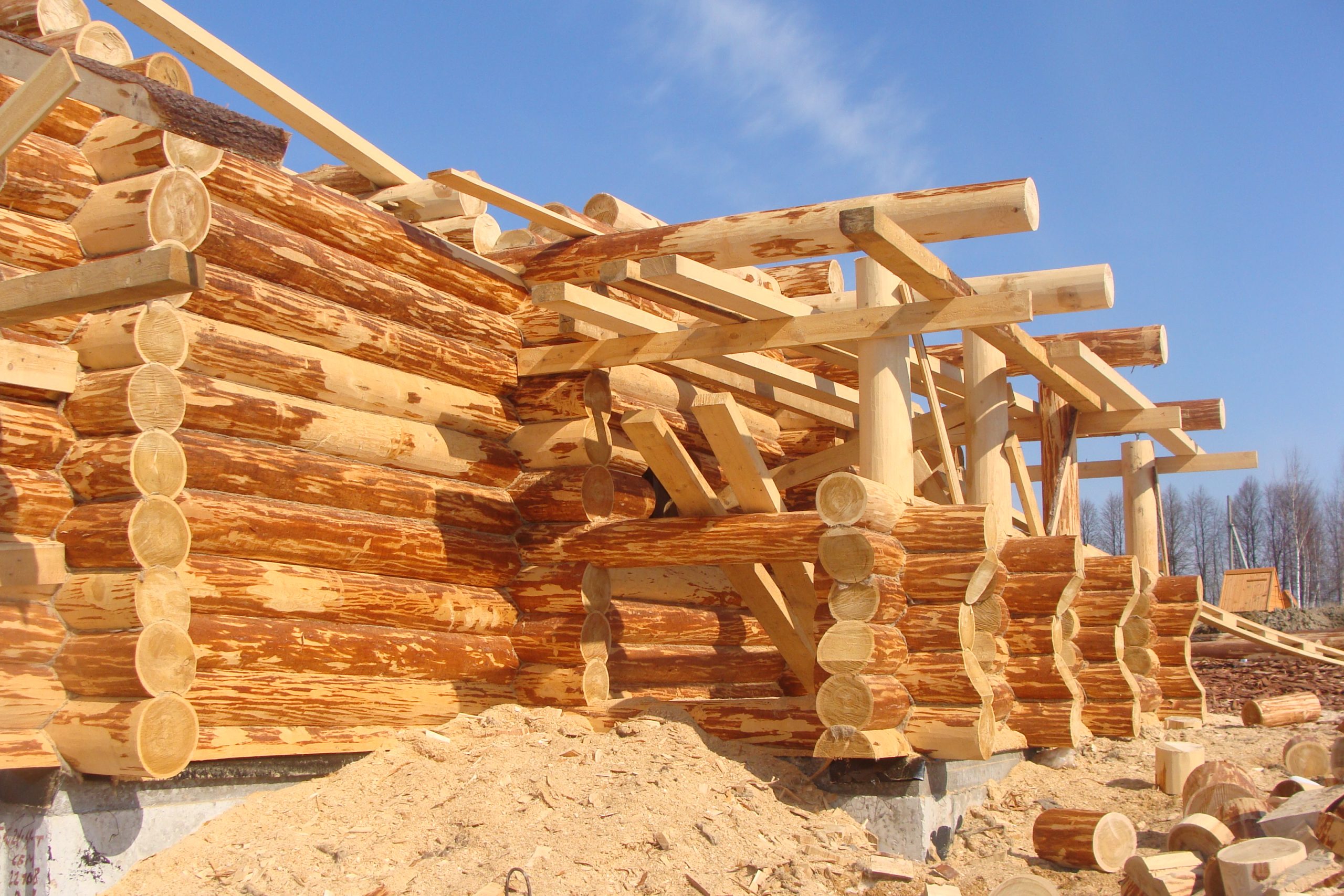 Дома из бруса: особенности строительства и виды древесного материала для создания прочных и экологичных жилищ