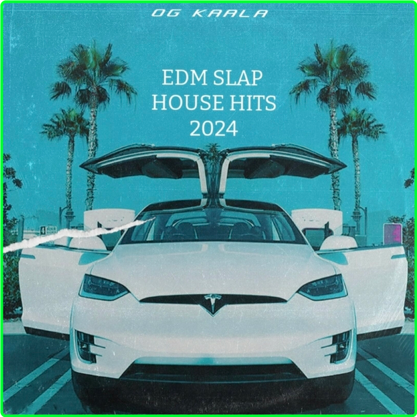 OG KAALA Edm Slap House Hits (2024) WEB [320 Kbps] 9b0e9c005f75c76ffd51d77f799dc6e9