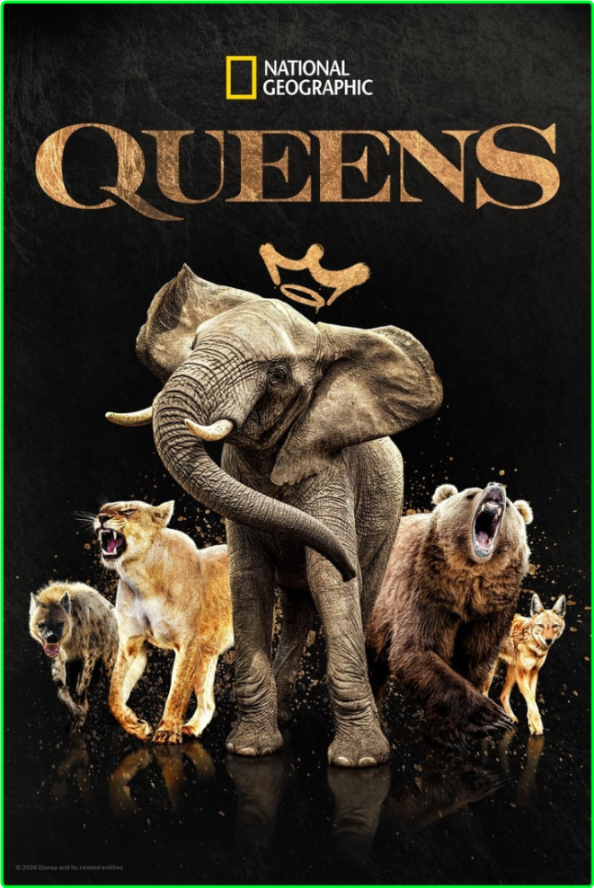 Queens (2024) S01 COMPLETE [720p] WEB (x264) D6661b7a48cc8fc83aa7a0d1c2e82da1