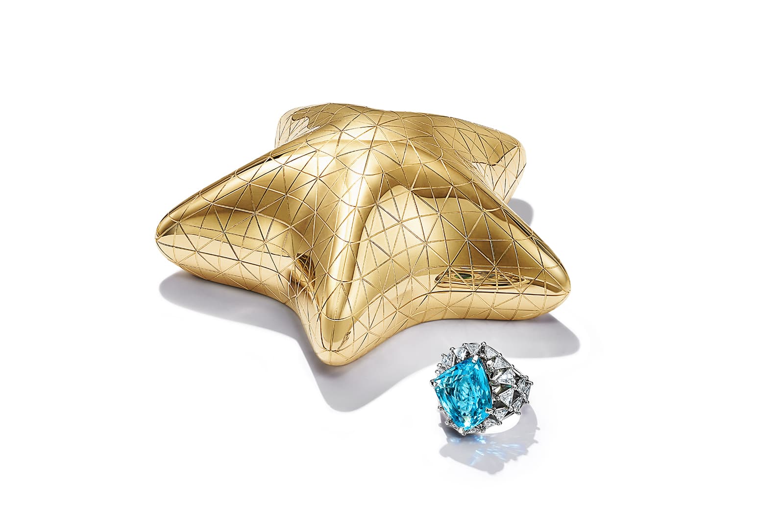 1_Tiffany___Co._Blue_Book_2021_Colors_of_Nature_Ring_Star_HJ_Colors_2.jpg