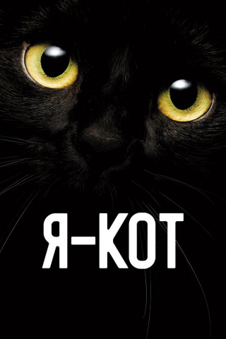 Я - кот / Cicaverzum (2023) WEB-DL 1080p | D