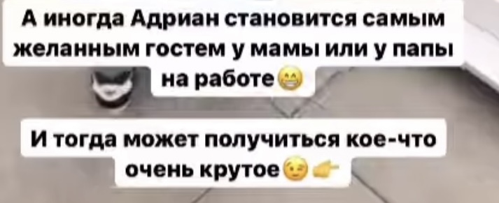 https://i6.imageban.ru/out/2024/05/29/6da1d35328178878a04613207bf1aed1.jpeg