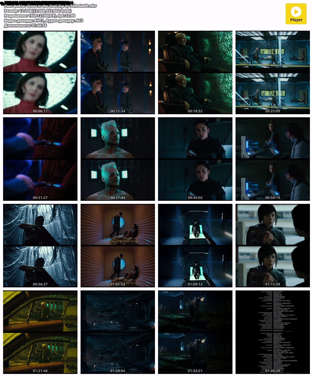 Ghost in the Shell.Rip by SeRoGa00.mkv.png