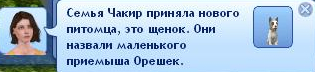 37a78587f5b666cf116094c9a416a463.jpg