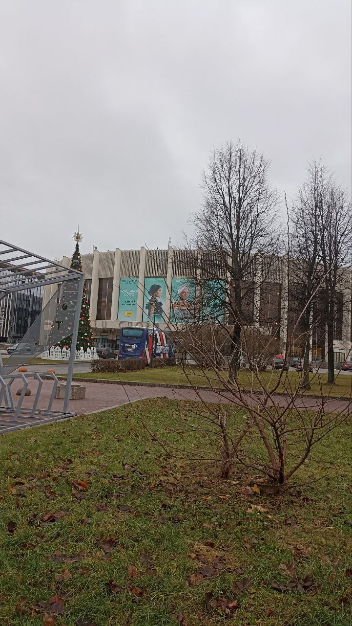 https://i6.imageban.ru/out/2024/12/03/b765bdb1646256a9f5b68cbaa816ca3d.jpg