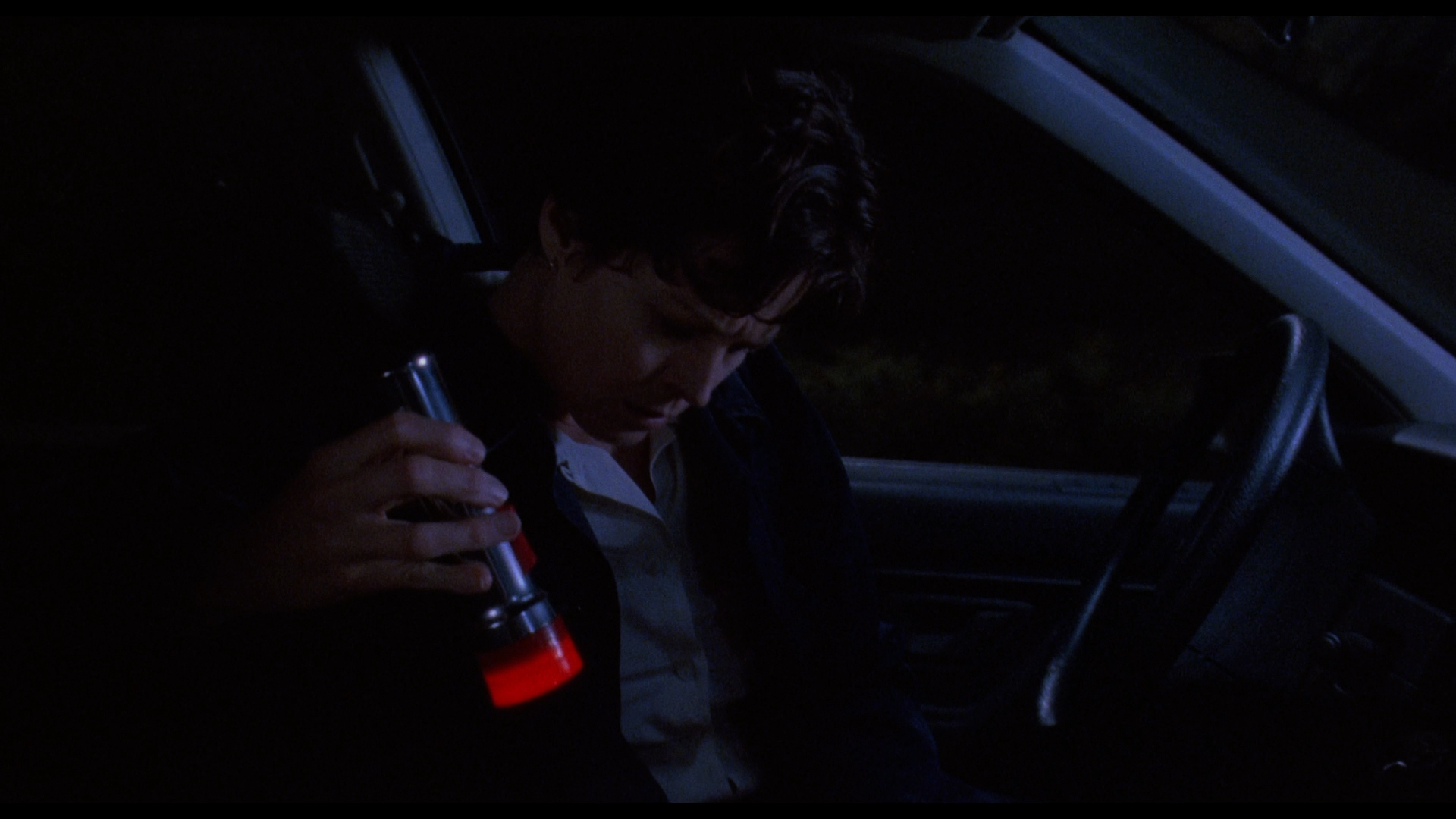 Death.and.the.Maiden.1994.BDRemux.1080p.mkv_snapshot_00.27.01.586.png