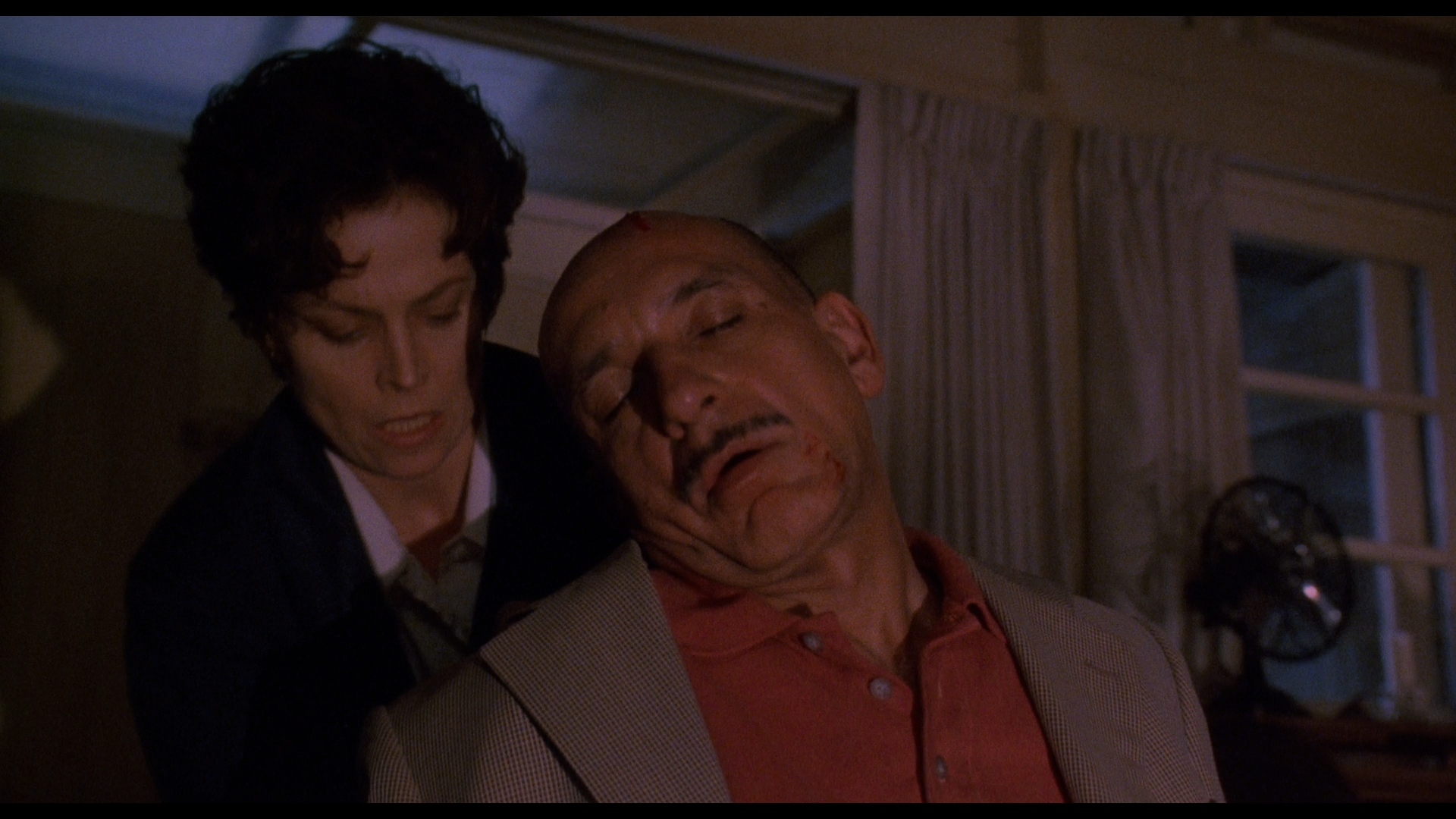 Death.and.the.Maiden.1994.BDRemux.1080p.mkv_snapshot_00.36.04.269.png