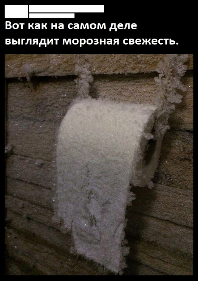 изображение_2025-01-22_165522503.png