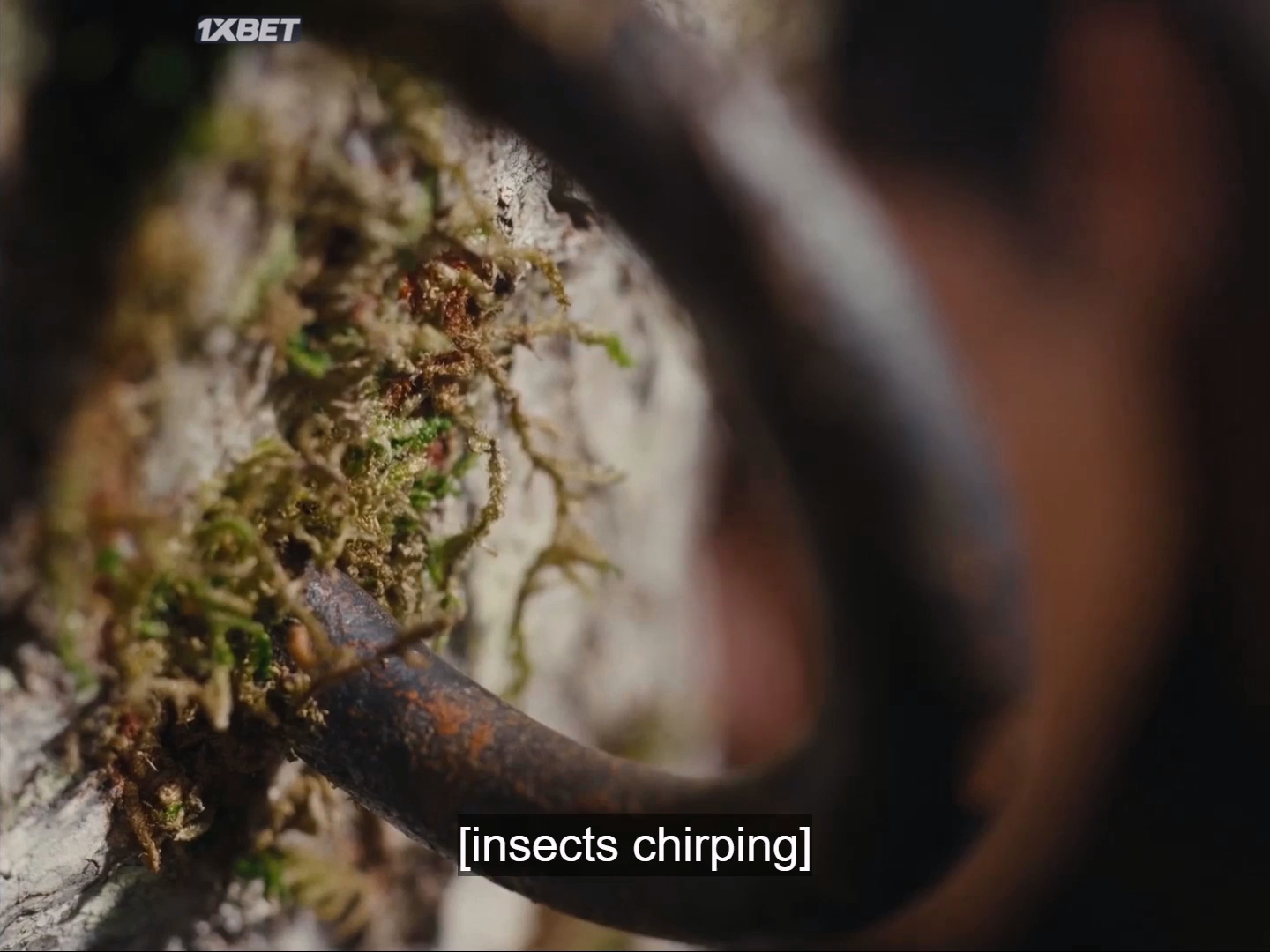 Nickel.Boys.2024.Pa.SCR.WEB-DL.1O8Op.mkv_20250127_144009.898.png