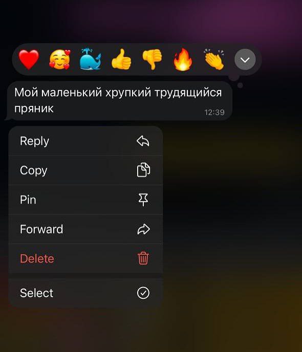https://i6.imageban.ru/out/2025/03/01/ab431ddcf142c6f095664f0a17f2464c.jpg