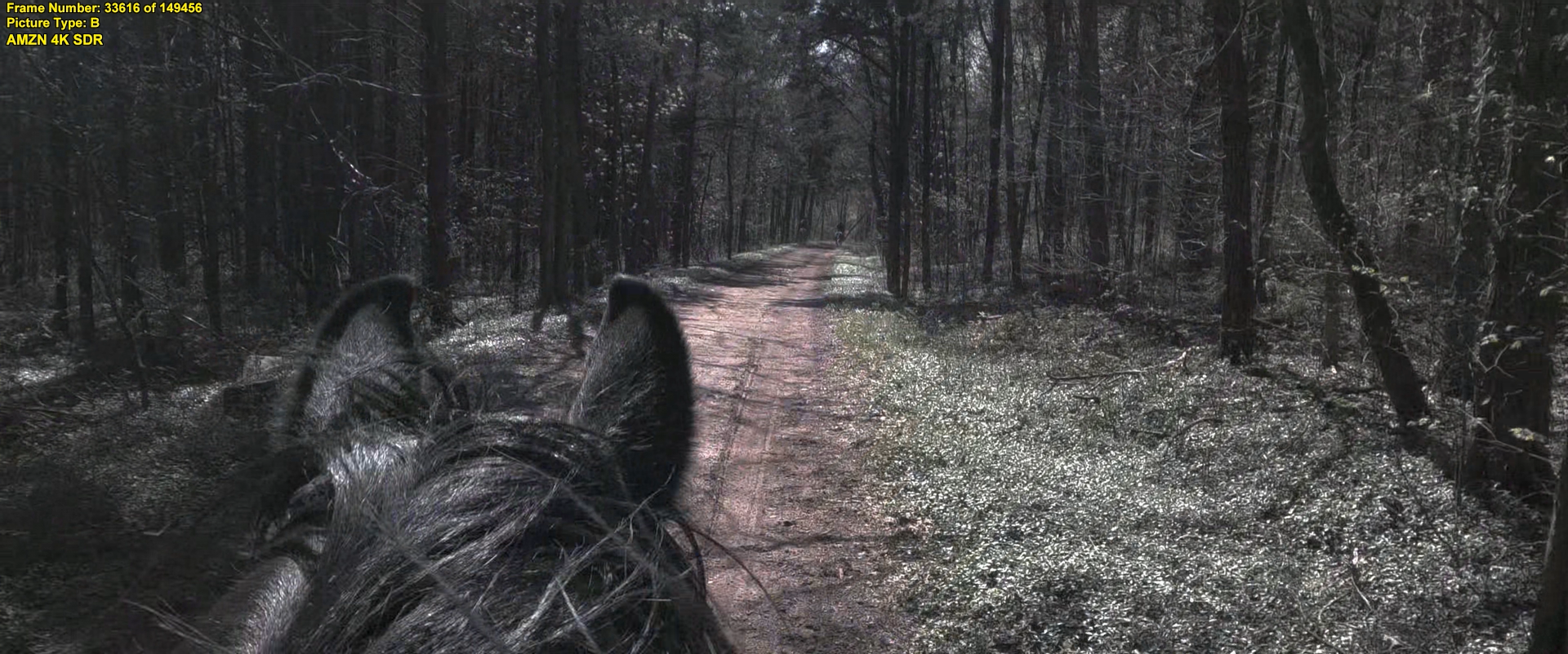 Gunslingers (2025) (2160p AMZN WEB-DL H265 SDR DDP 5.1 English - HONE)033616.png